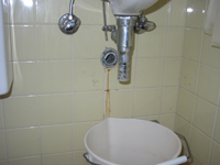 yellowbathroom2.jpg