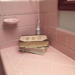 Those "books" I told you about. I've got the cord peeking out here. You can set your devices inside to charge them so they're completely out of view.