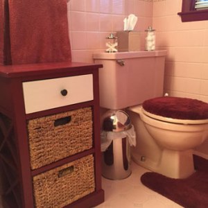 The "cabinet of necessities" turned out great but kind of makes us look like people with outrageous storage needs. The cabinet looked smaller in the store!