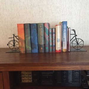 Bicycle book ends - a Christmas gift for hubby who is a cyclist.