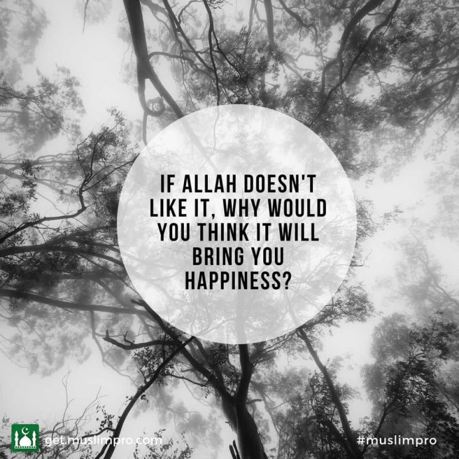 If Allah doesn’t like it, why would you think it will bring you happiness?