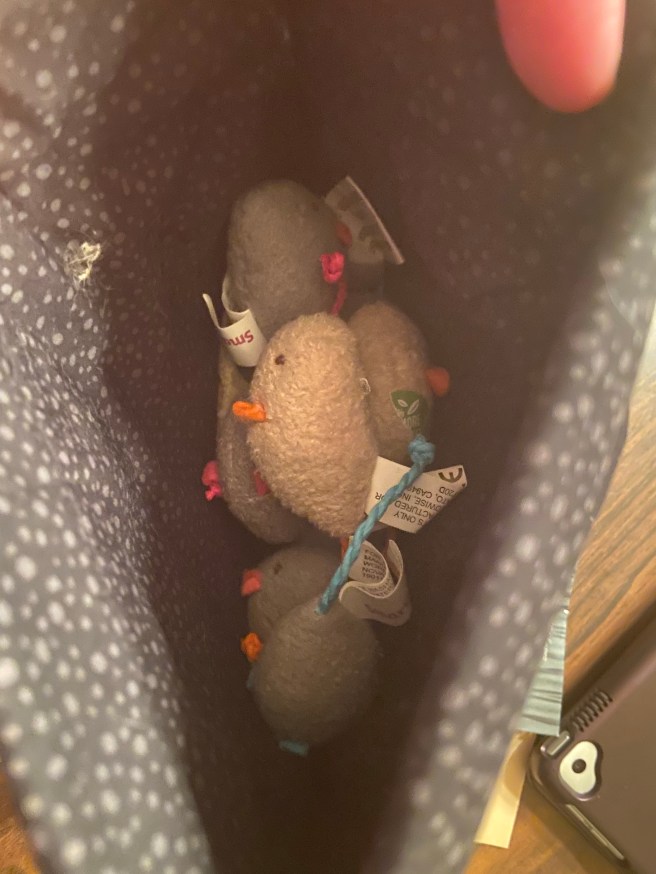Small bag full of cloth mice