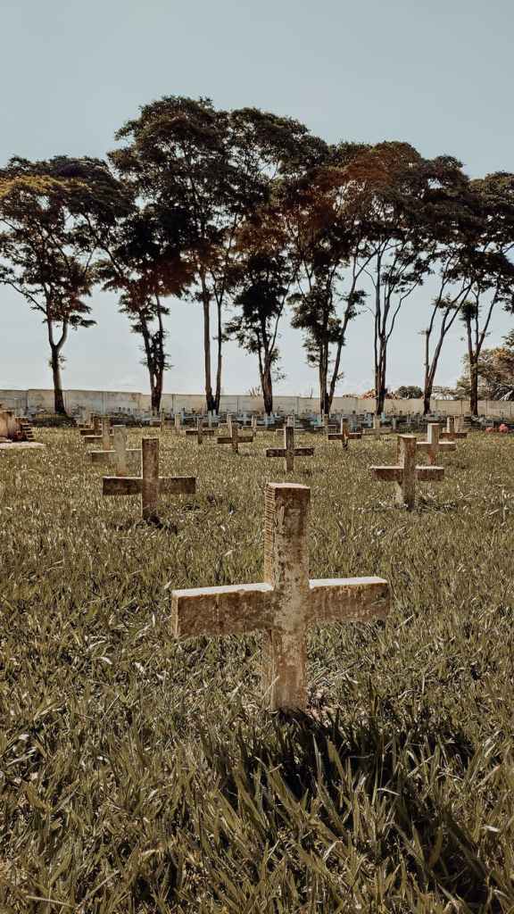 a cemetery of crosses