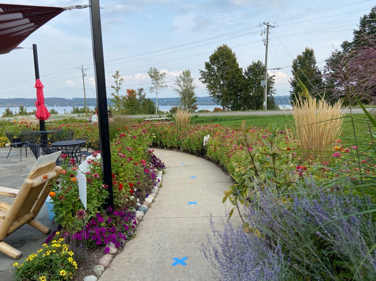 a pathway of zinnias